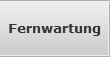Fernwartung